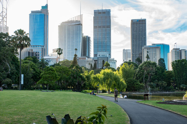 Sicht vom Botanischen Garten zur Skyline