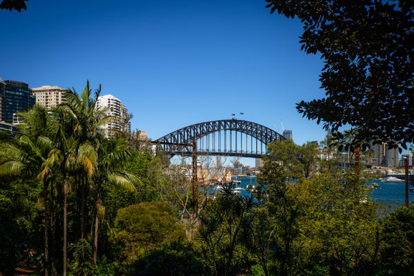 Lavender Bay - Wendy's Secret Garden