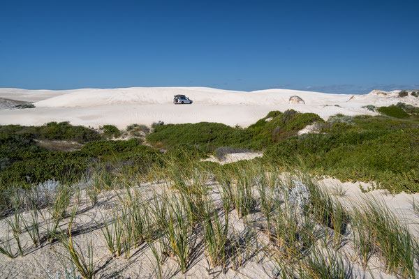 Lancelin Sand Dunes, Lancelin, mit dem kleinen 'Moris'