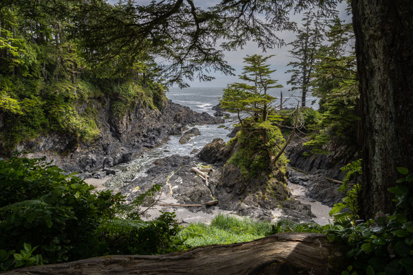 Ucluelet - Wild Pacific Trail