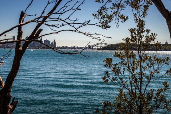 Hermitage Foreshore Walk 