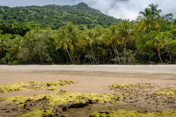 Coconut Beach
