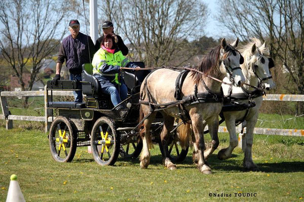 Equipage Philippe COLOMBEL