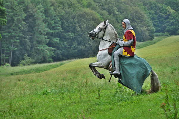 Knight on Horse