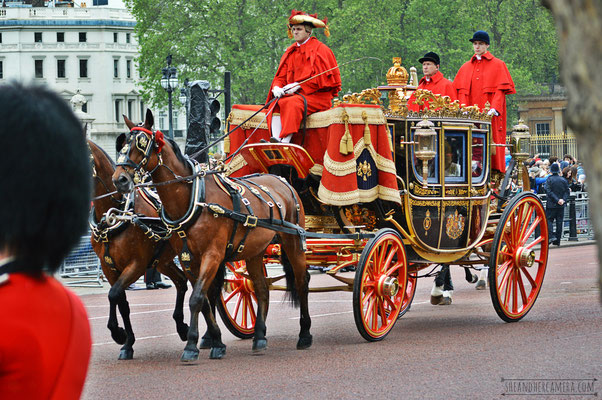 State Opening of Parliament 2016 - Royal Procession Carriage