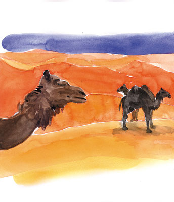 Marokko/Sahara