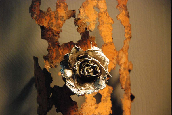 Rosa d`argento