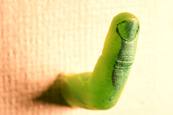 Finger