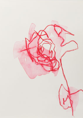 rote Rosen verblühend III, 2023, Aquarellkreide auf Papier, 29,7x21cm