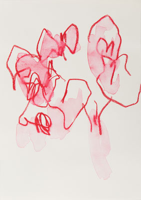 rote Rosen verblühend VII, 2023, Aquarellkreide auf Papier, 29c7x21cm