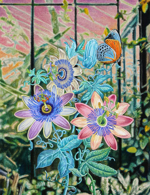 "Thinking of someone who has drawn botanical paintings#2"   Acrylic on raw canvas 41.0x31.8cm