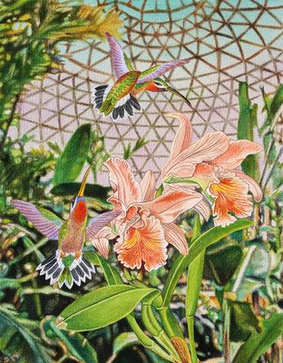 "Thinking of someone who has drawn botanical paintings#1"   Acrylic on raw canvas 41.0x31.8cm