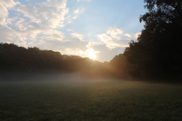 Sonnaufgang an der großen Blöße