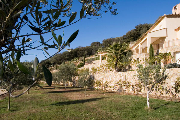 Villa Panoramique Korsika