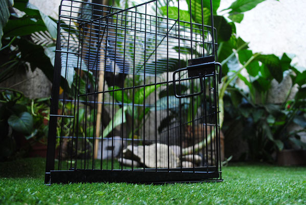 Jaula Mascota Chica con charola de lamina frente:34 alto:36 ancho:38