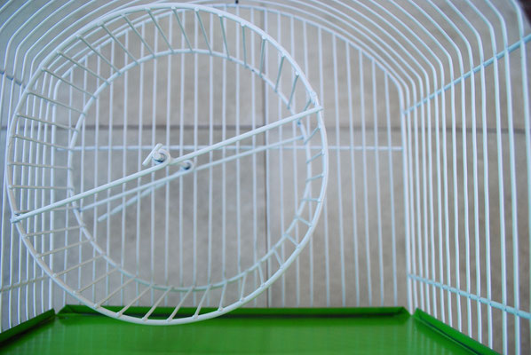 Hamster Buzon Chica frente:25 alto:23 ancho:28