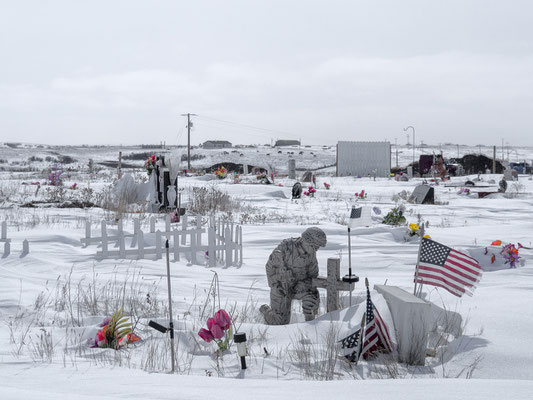 Even the jungle wanted him dead... New Town, North Dakota