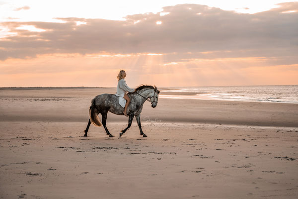 Reitbild am Strand