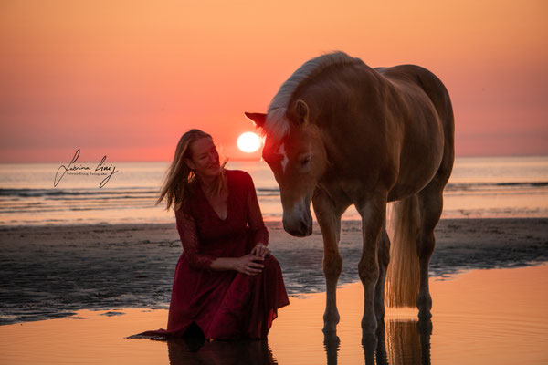 Haflinger Strand