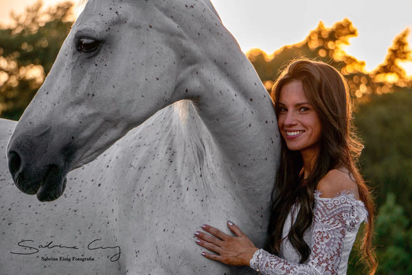 Sunset white horse