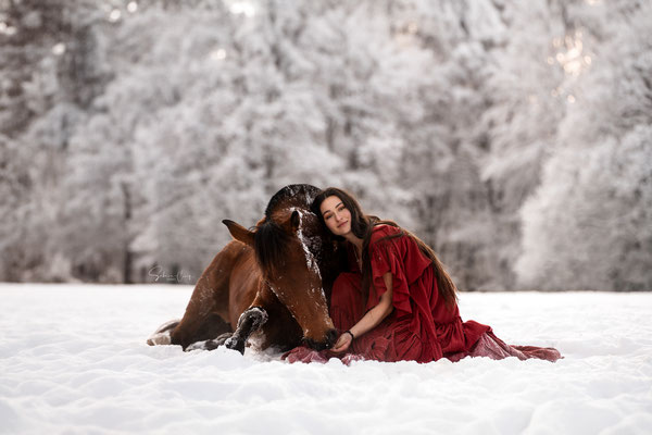 liegendes Pferd im Schnee