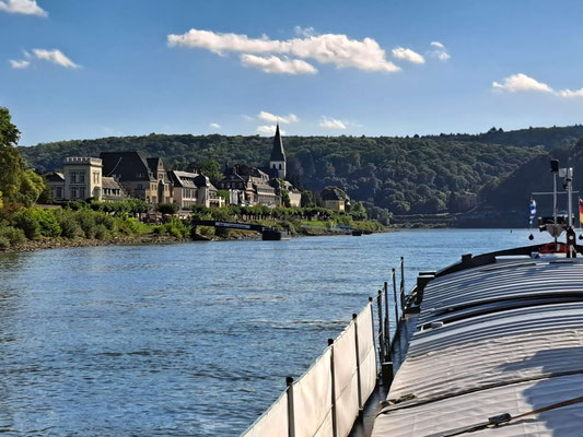 © Andy R. 18.09.2025