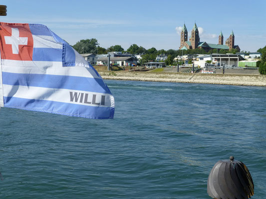 Speyer (Rhein) 26.07.2015 10:35 © p-m