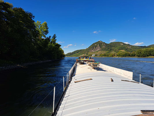 © Andy R. 18.09.2025