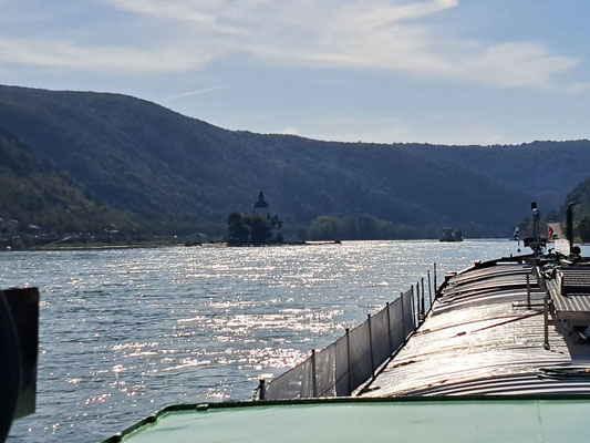 Kaub, Burg Pfalzgrafstein (© Andy R. 20.09.2025)