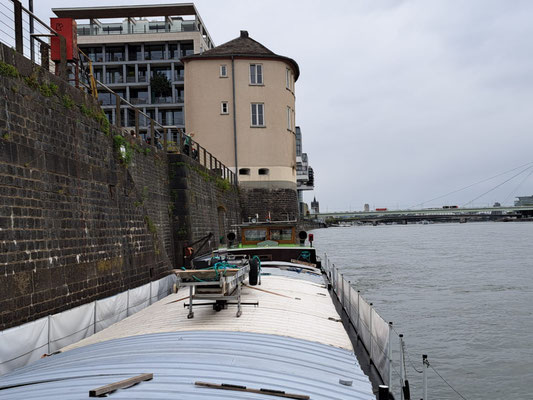 WILLI hat um 17:30 Uhr in Köln bei der Katharina-Schauberger-Promenade oberhalb der Rheinbastion festgemacht.  (© Andy R. 17.09.2025)