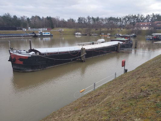 Schutzhafen Erlenbach am Main (© Februar 2026 Oliver G.)