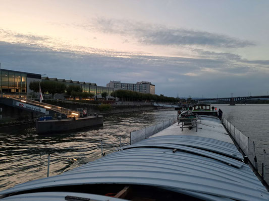 Mainz (© Andy R. 20.09.2025)