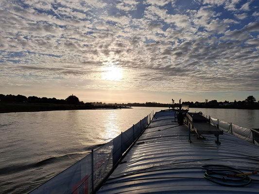 Auf dem Rhein zu Berg (© Andy R. 17.09.2025)