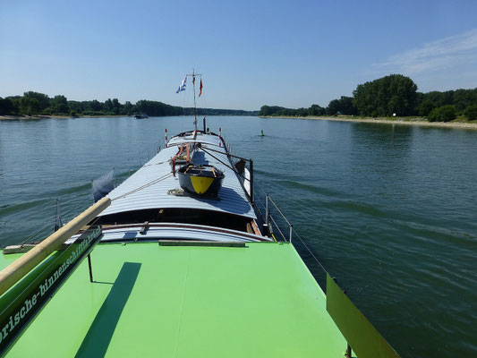 Oberhalb von Gernsheim (Rhein) 24.07.2015 11:17 © p-m