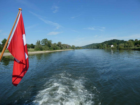 WILLI fährt auf der Donau zu Tal © GB 03.06.2022