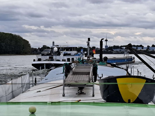 WILLI wird vom GMS MERLIN 02316359 überholt (© Andy R. 17.09.2025)