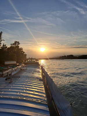 Mainz (© Andy R. 20.09.2025)