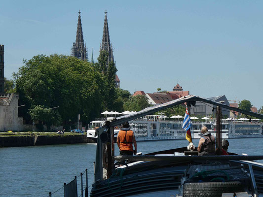 WILLI auf dem Donausüdarm in Regensburg © GB 03.06.2022