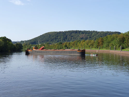 Verholen der Treidelpéniche ANNA-LEONIE mit dem Motornachen vom Yachthafen Merzig zum Liegeplatz (© Wolfgang K. 23.08.2023 18:36 Uhr)