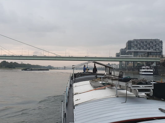 Köln zu Berg (Rhein-km 687.4) mit Severinsbrücke und (rechts) die 3 Kranhäuser [© Andy R. 15.09.2022]