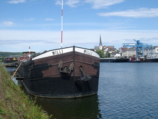 Kopf von WILLI am 19. August 2004 (© Günther B.)