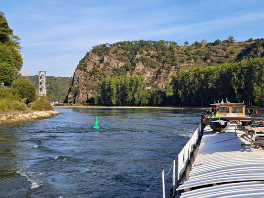 oberhalb der Loreley (© Andy R. 20.09.2025)