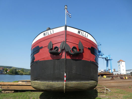 WILLI auf der Helling, Kopf unbearbeitet © Günther B.