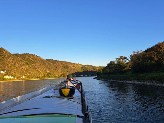WILLI liegt beim Hafen «Am Hunt» in Sankt Goar-Fellen vor Anker (© 19.09.2025 Andy R.)