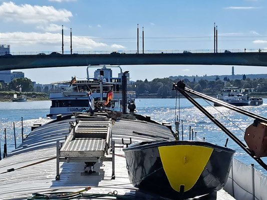 WILLI passierte um 13 Uhr die Kennedybrücke in Bonn (© Andy R. 18.09.2025)
