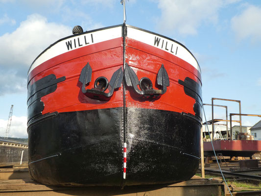 Kopf von WILLI am 24. September 2020 (© Günther B.)