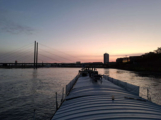 Auf dem Rhein zu Berg; im Hintergrund die Rheinkniebrücke Düsseldorf  (© Andy R. 17.09.2025)