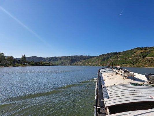 © 19.09.2025 Andy R.