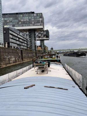 Köln; Kranhäuser (© Andy R. 17.09.2025)