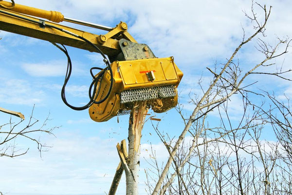 SEPPI M. BMS Baggermulcher